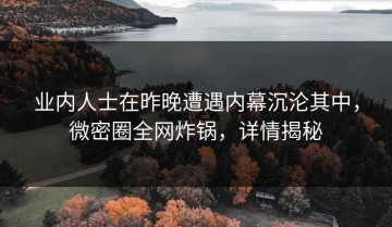 业内人士在昨晚遭遇内幕沉沦其中，微密圈全网炸锅，详情揭秘
