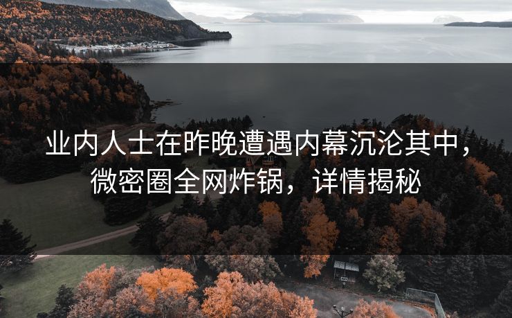 业内人士在昨晚遭遇内幕沉沦其中，微密圈全网炸锅，详情揭秘