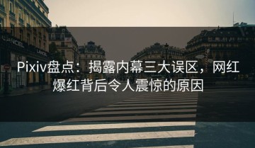 Pixiv盘点：揭露内幕三大误区，网红爆红背后令人震惊的原因