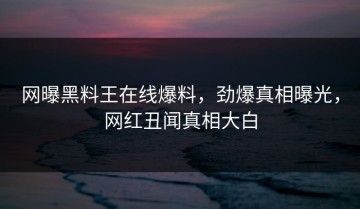 网曝黑料王在线爆料，劲爆真相曝光，网红丑闻真相大白