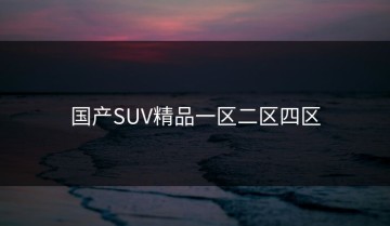 国产SUV精品一区二区四区