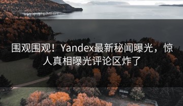 围观围观！Yandex最新秘闻曝光，惊人真相曝光评论区炸了