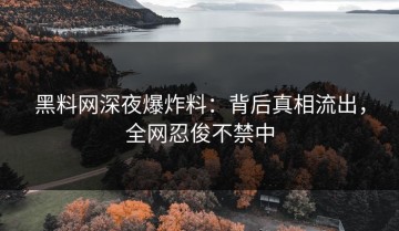 黑料网深夜爆炸料：背后真相流出，全网忍俊不禁中