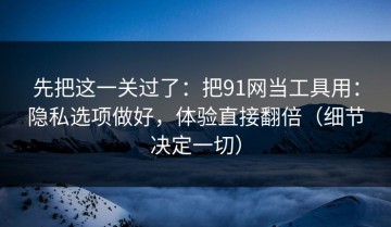 先把这一关过了：把91网当工具用：隐私选项做好，体验直接翻倍（细节决定一切）