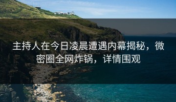 主持人在今日凌晨遭遇内幕揭秘，微密圈全网炸锅，详情围观