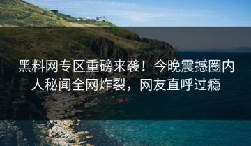 黑料网专区重磅来袭！今晚震撼圈内人秘闻全网炸裂，网友直呼过瘾