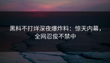 黑料不打烊深夜爆炸料：惊天内幕，全网忍俊不禁中