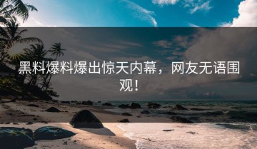 黑料爆料爆出惊天内幕，网友无语围观！