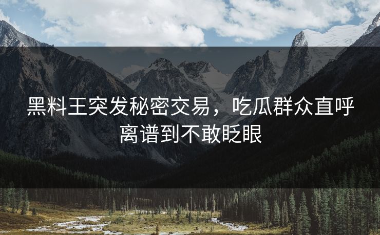 黑料王突发秘密交易，吃瓜群众直呼离谱到不敢眨眼