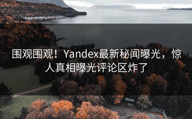 围观围观！Yandex最新秘闻曝光，惊人真相曝光评论区炸了
