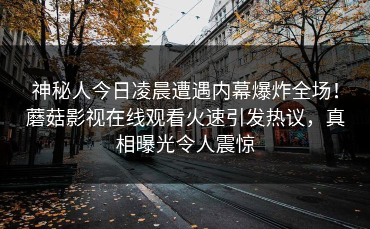 神秘人今日凌晨遭遇内幕爆炸全场！蘑菇影视在线观看火速引发热议，真相曝光令人震惊