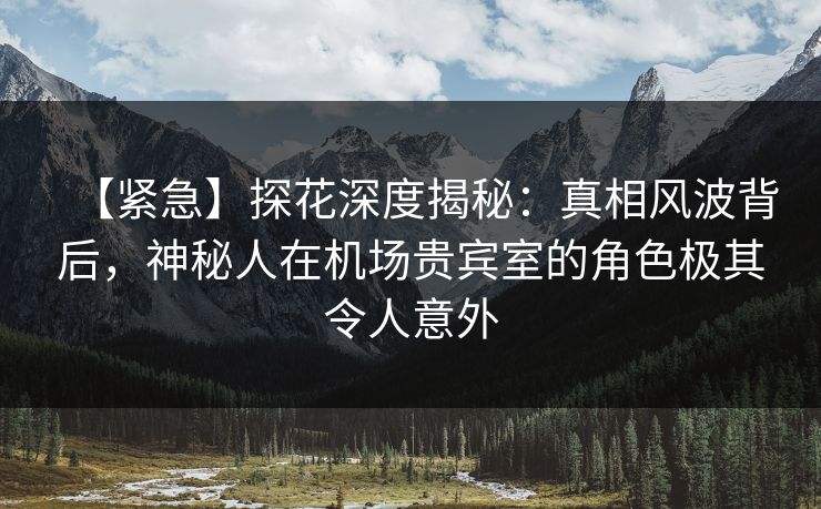 【紧急】探花深度揭秘：真相风波背后，神秘人在机场贵宾室的角色极其令人意外