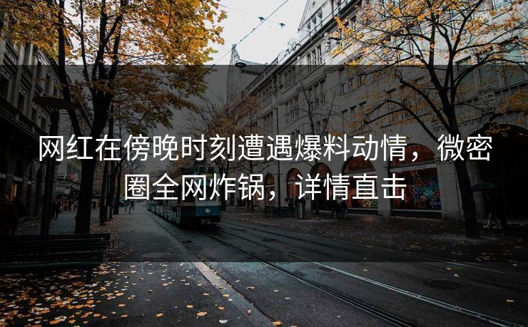 网红在傍晚时刻遭遇爆料动情，微密圈全网炸锅，详情直击