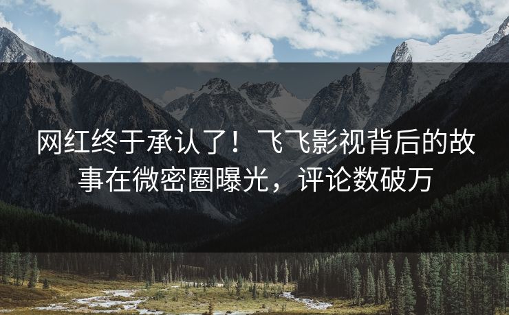 网红终于承认了！飞飞影视背后的故事在微密圈曝光，评论数破万