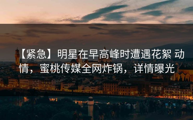【紧急】明星在早高峰时遭遇花絮 动情，蜜桃传媒全网炸锅，详情曝光