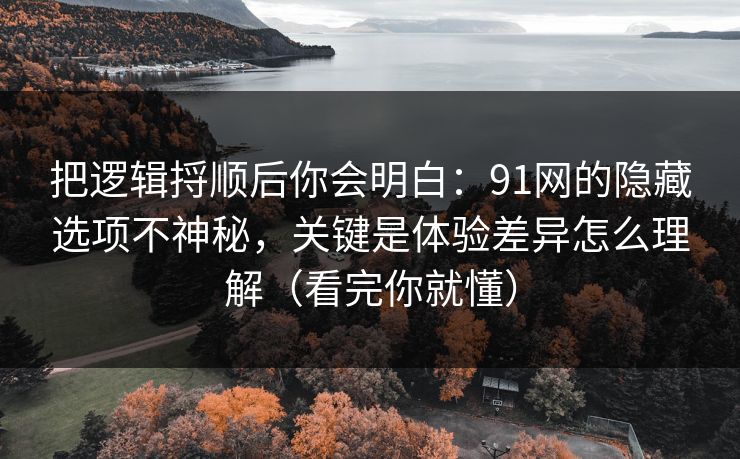 把逻辑捋顺后你会明白：91网的隐藏选项不神秘，关键是体验差异怎么理解（看完你就懂）